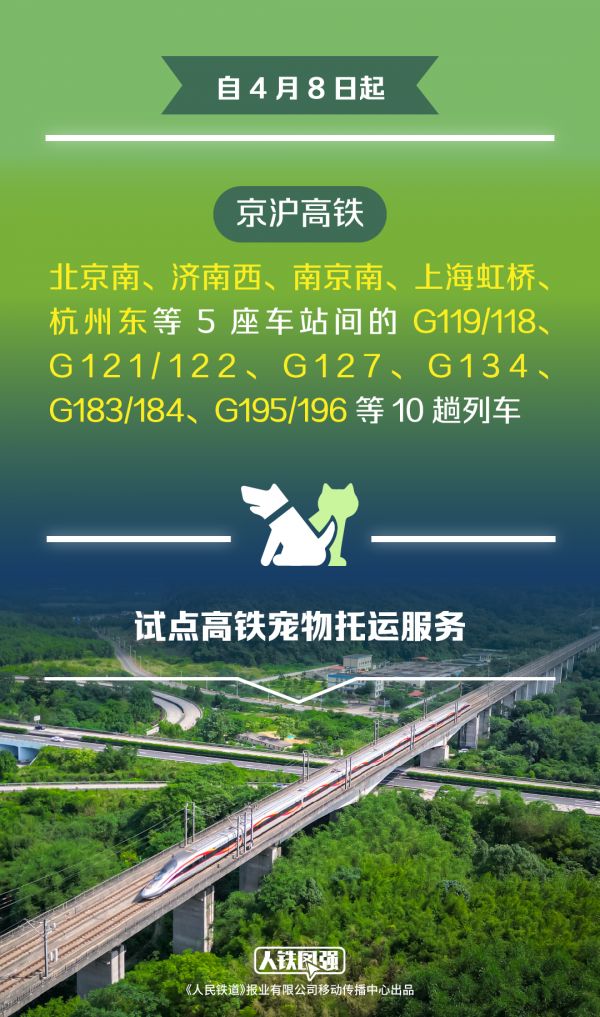 宠物托运