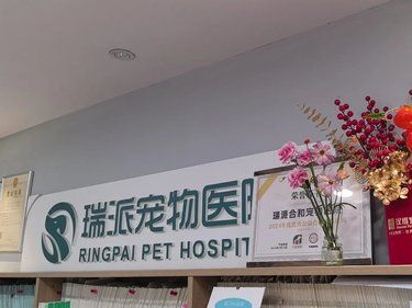 带着毛孩子看病的一天
