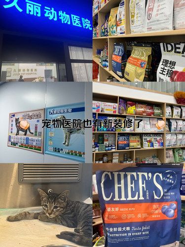 换季了，除了爱自己也要爱毛孩子