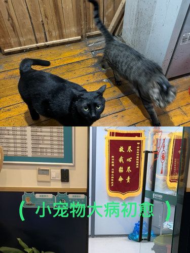 来宁波看病就选这家医院！