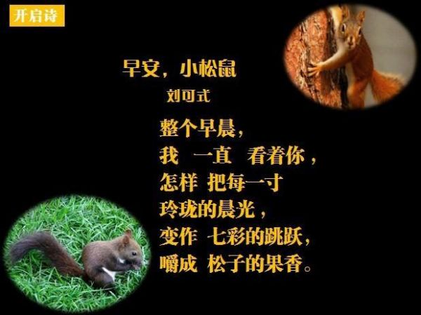 绝美又有诗意的动物小诗，值得爸爸妈妈和老师收藏