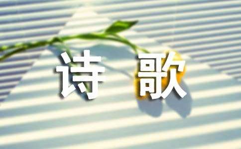 咏宠物猫的现代诗歌