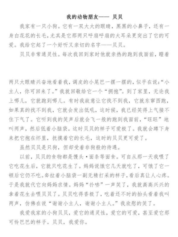 小狗创作助手：全方位解答宠物写作与相关内容创作疑问