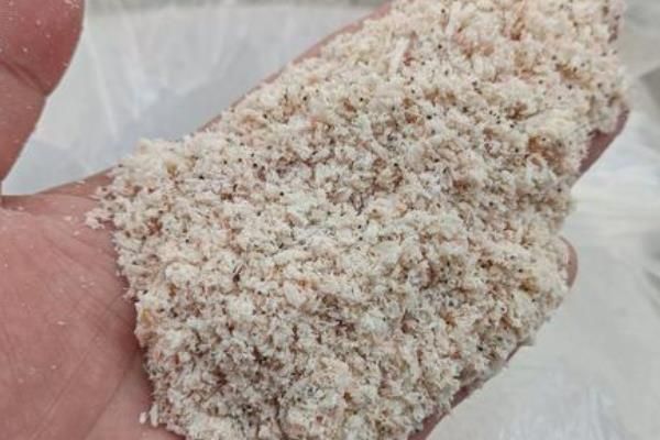 养鱼一般喂什么饲料，主要有动物性活饵料、冷冻饵料等