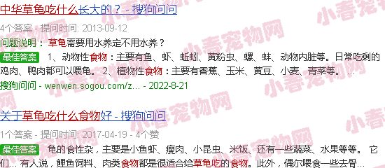 中华草龟吃什么食物?