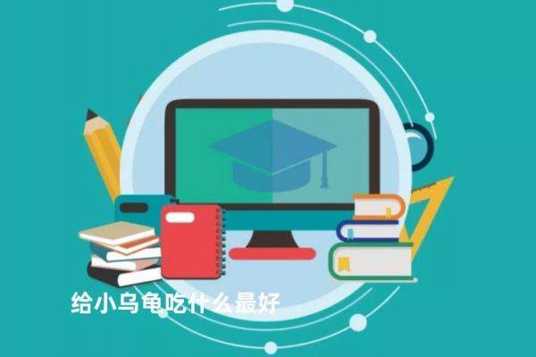 给小乌龟吃什么最好