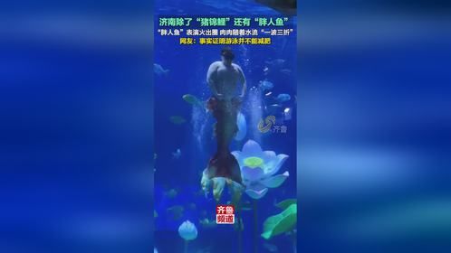 济南“胖人鱼”表演火出圈，游泳并不能减肥