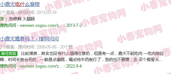 鹿狗吃什么