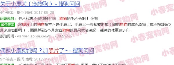 鹿狗图片可爱