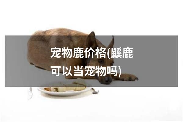 宠物鹿价格(鼷鹿可以当宠物吗)
