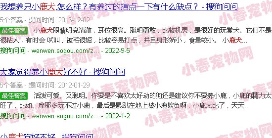 鹿犬优缺点