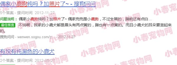 鹿狗可爱图片