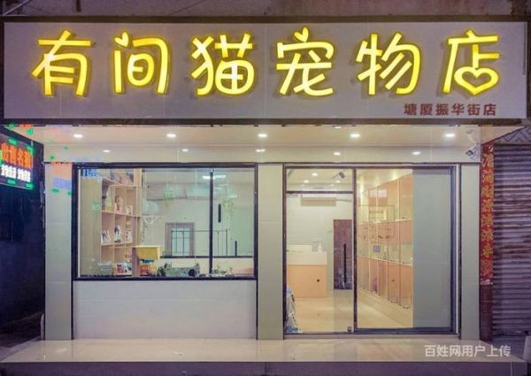 猫不想要了宠物店收吗（本人长期上门回收宠物猫）
