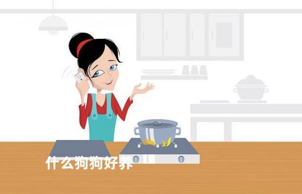 什么狗狗好养