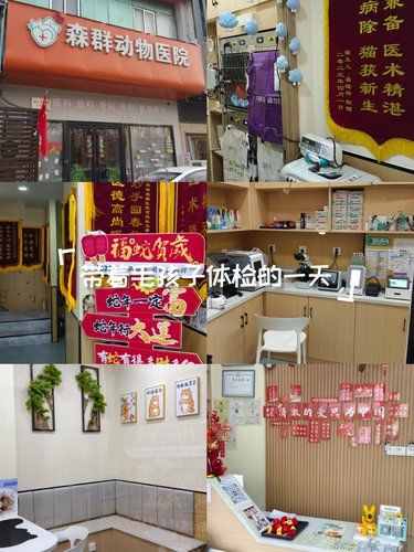 医术超赞 医心更美~