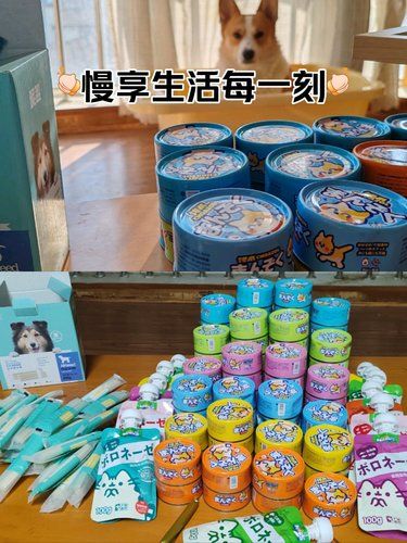不给零食就躲箱子里