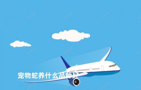 宠物蛇养什么品种好