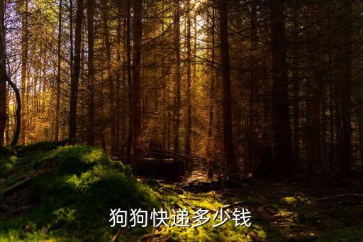 狗狗快递多少钱