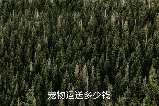 宠物运送多少钱