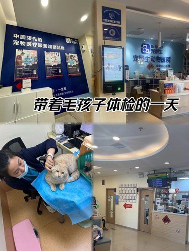医术超赞 医心更美~