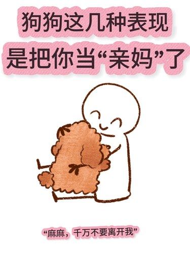 破防了！原来狗狗这些动作是在喊你妈妈