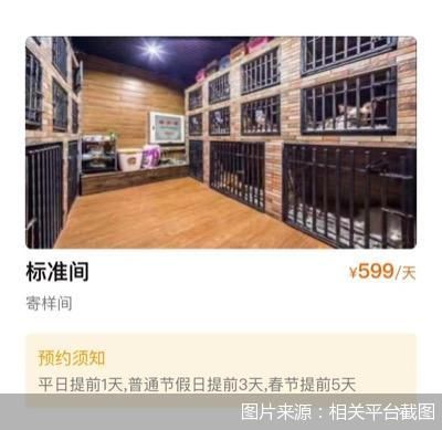 图片来源：相关平台截图
