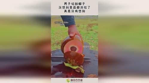 男子切割椰子，没想到里面都冻住了，真是没有想到