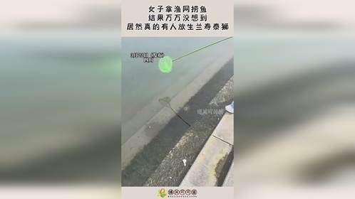 女子拿渔网捞鱼，结果万万没想到，居然真的有人放生兰寿泰狮