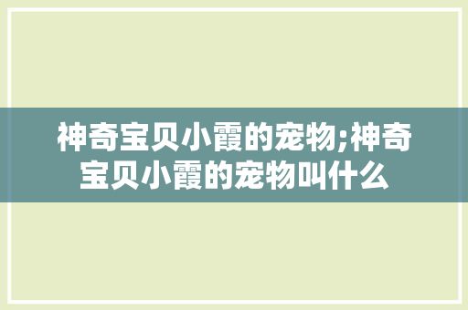 神奇宝贝小霞的宠物;神奇宝贝小霞的宠物叫什么