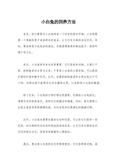小白兔的饲养方法