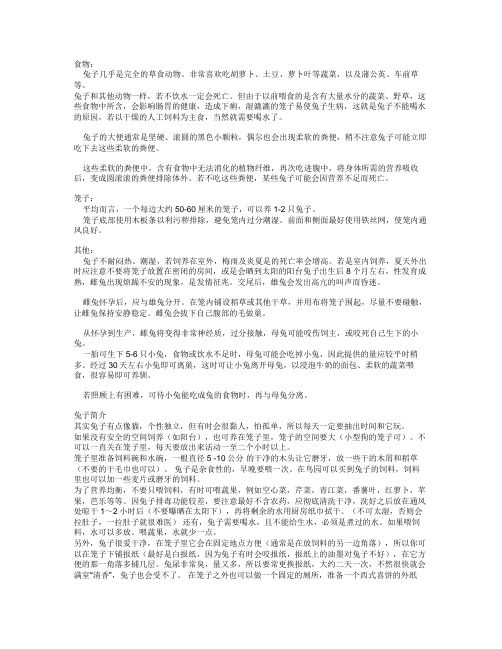 兔子养殖