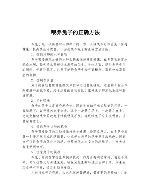 喂养兔子的正确方法