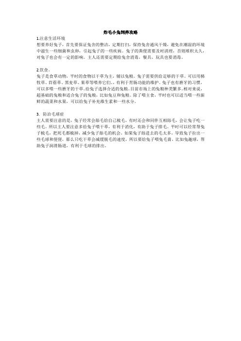 炸毛小兔饲养攻略