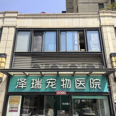 毛孩子的健康守护者❤️泽瑞宠物医院推荐 