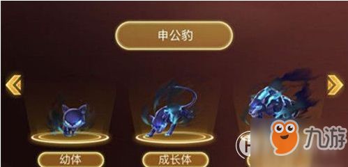 QQ飞车宠物申公豹怎么样