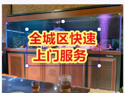 鱼缸定制上门清洗维修·全市上门清洗鱼缸 维护 定制鱼缸观赏鱼送货上门