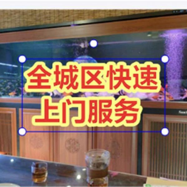 店主头像