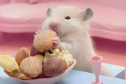 刚生下的仓鼠宝宝怎么养