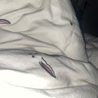 常州宠物兔子
