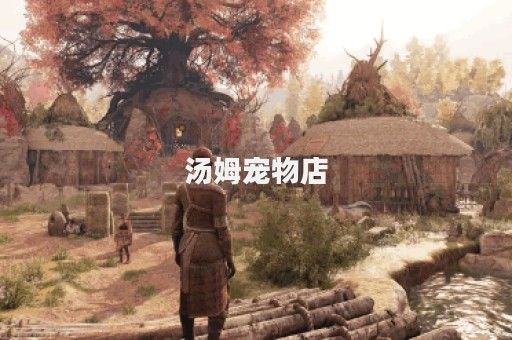 汤姆宠物店