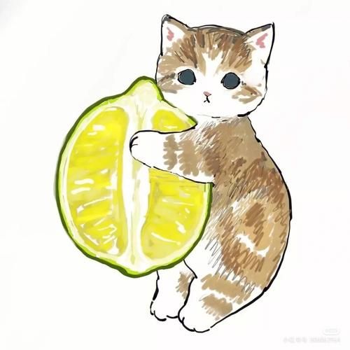 猫咪头像可爱治愈Q版