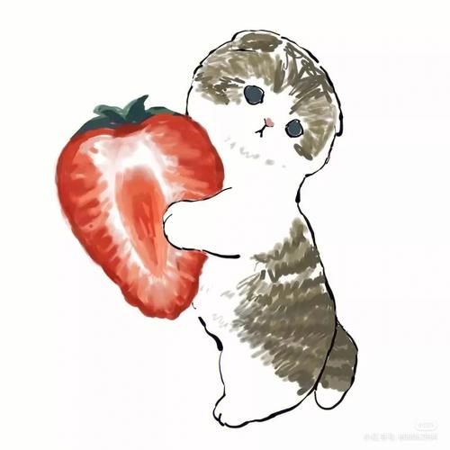 猫咪头像可爱治愈Q版