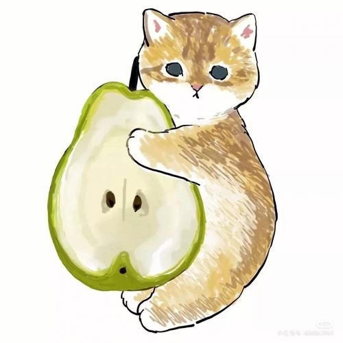 猫咪头像可爱治愈Q版