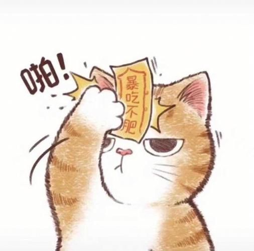 头上贴符的猫咪卡通头像可爱超萌图片