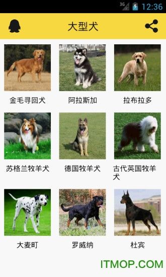 宠物狗狗助手免费下载