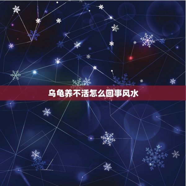 乌龟养不活怎么回事风水，养龟风水 第1张