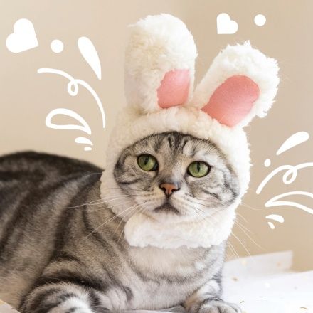 宠物猫可爱涂鸦情侣头像微信