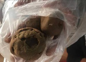 狗价格大全，宠物狗多少钱-警犬训练器材厂家 _警犬装备生产厂家_警犬训练设备厂家-南京开久