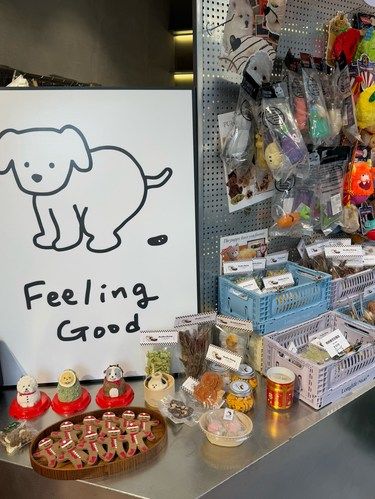 扬州首家宠物商店！毛孩子的天堂！！！
