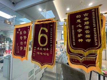 救小喵喵的人能有什么坏心思啊‼️